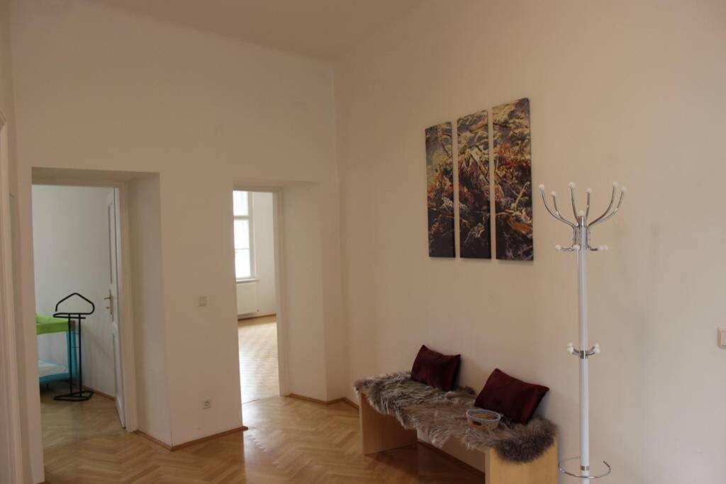 Wunderschone Altbauwohnung In Zentraler Lage Wien Dış mekan fotoğraf